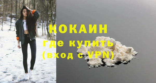 МДПВ Бородино