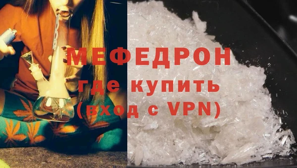 МДПВ Бородино