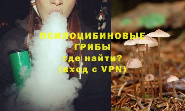 прущие крисы Бронницы