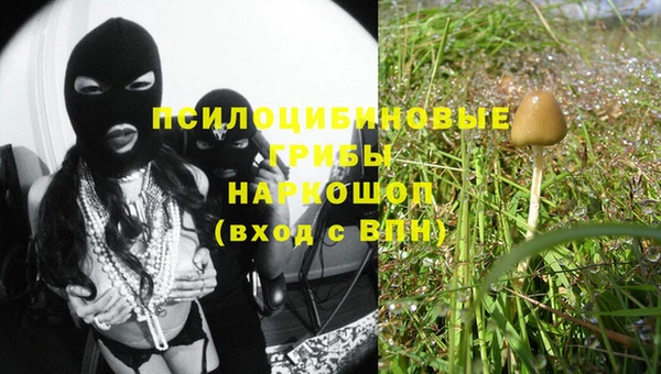 герыч Бугульма