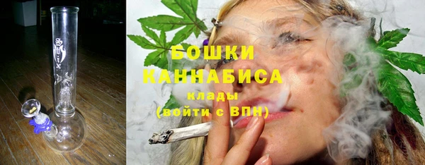 МДПВ Бородино