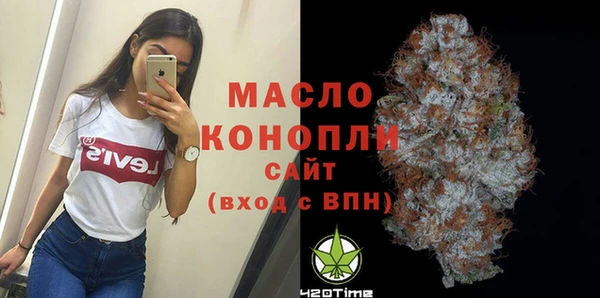 МДПВ Бородино