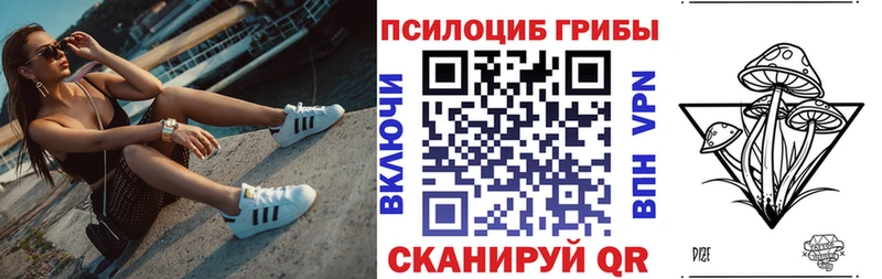 MEGA зеркало  Дзержинск  Псилоцибиновые грибы Psilocybe 